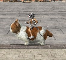 画像ギャラリー No.003のサムネイル画像 / 「三国群英伝ONLINE」,本日より特典満載のカムバックキャンペーンを実施