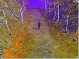 画像ギャラリー No.002のサムネイル画像 / ［G★2007＃91］恋愛をテーマにした武侠MMORPG「仙剣Online」を紹介