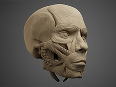 �ʹ֤δ��Ƭ���κ����ò�����3D��ե���󥹥ġ����HAELE 3D - Portrait Studio Pro�ס������ۿ����ϡ�˭�٤ʥץꥻ�åȤ˲ä���ɽ���Խ������Ĵ���ʤɤˤ��б�