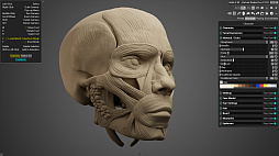画像ギャラリー No.005のサムネイル画像 / 人間の顔や頭部の作画に特化した3Dリファレンスツール「HAELE 3D - Portrait Studio Pro」，本日配信開始。豊富なプリセットに加え，表情編集や照明調整などにも対応