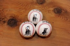 画像ギャラリー No.011のサムネイル画像 / 「プロ野球チームをつくろう！ONLINE 2」2011開幕ダッシュキャンペーン開催