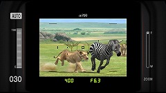 画像ギャラリー No.009のサムネイル画像 / 男色ディーノのゲイムヒヒョー：其の五拾七「アニマルセラピー」