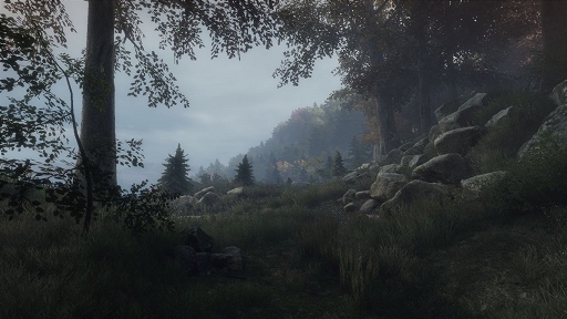 画像ギャラリー No.007のサムネイル画像 / インディーズゲームの小部屋:Room#353「The Vanishing of Ethan Carter」