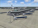 大空にこだわろう!みんなの空港4