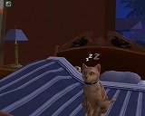The Sims Pet Stories(Macintosh)