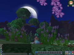画像ギャラリー No.008のサムネイル画像 / MMORPG「Secret Online」,クローズドβテストが本日スタート