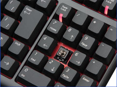 画像ギャラリー No.003のサムネイル画像 / DHARMAPOINT，“MX茶軸”採用のゲーマー向けキーボードを200台限定発売