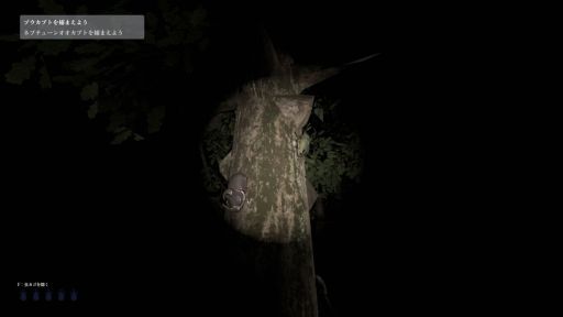 画像ギャラリー No.007のサムネイル画像 / 昼間とは様子が一変した夜の森で全19種類のカブトムシを探す。短編ホラーゲーム「カブトムシの森」,Steamで配信開始