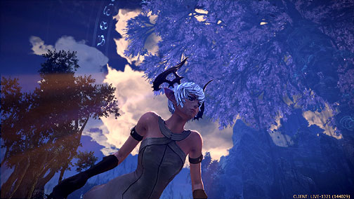 画像ギャラリー No.010のサムネイル画像 / 「TERA」の“日本語版”がついにプレスに向けて初公開！　動画とスクリーンショットも大量セットでお届けする先行体験会速報