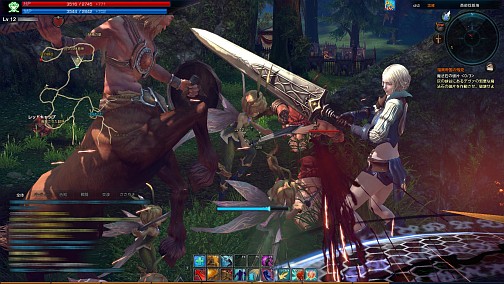 画像ギャラリー No.016のサムネイル画像 / 注目作「TERA」のCBTを振り返り,来るべきOBTに向けての意気込みなどを,日本総合プロデューサーに聞いてみた