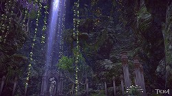 画像ギャラリー No.015のサムネイル画像 / 「TERA」プレイヤー待望の大型アップデート「アルゴンの女王 PART.1」の新情報をお届け。第1弾は新フィールド&新スキルについて