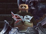 画像ギャラリー No.015のサムネイル画像 / 「TERA」のキャラクターにさらなる個性を！　大型アップデート「アルゴンの女王 PART.1」では，装飾アクセサリなどの新アイテムが大量追加