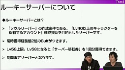 画像ギャラリー No.020のサムネイル画像 / 「TERA」開発・運営スタッフインタビュー。エリーン専用の新クラス"ソウルリーパー"などのアップデートについて導入経緯を詳しく聞いた