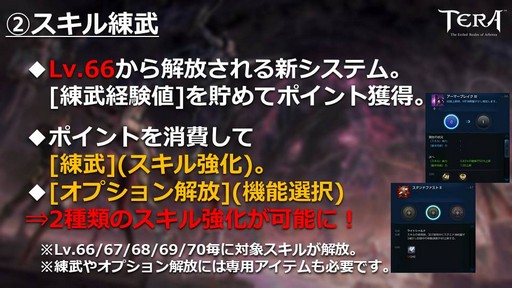 画像ギャラリー No.011のサムネイル画像 / PC版「TERA」公式生放送「テラライブ！」で発表された2019年春のロードマップを紹介。4年半ぶりのレベルキャップ解放でレベル上限が70に
