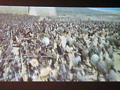 画像ギャラリー No.008のサムネイル画像 / ［GDC 2009＃12］映画にも活用されるHavok物理エンジンの最新技術を写真とムービーで見る