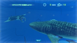 画像ギャラリー No.001のサムネイル画像 / 沖縄美ら海水族館「黒潮の海」がPS Home内でバーチャル再現