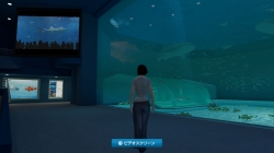 画像ギャラリー No.017のサムネイル画像 / 沖縄美ら海水族館「黒潮の海」がPS Home内でバーチャル再現