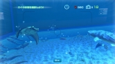 画像ギャラリー No.027のサムネイル画像 / 沖縄美ら海水族館「黒潮の海」がPS Home内でバーチャル再現