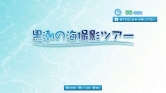 画像ギャラリー No.028のサムネイル画像 / 沖縄美ら海水族館「黒潮の海」がPS Home内でバーチャル再現