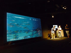 画像ギャラリー No.002のサムネイル画像 / 銀座で沖縄美ら海水族館を体感。スペシャルイベント「VR 黒潮の海で泳ごう!」レポート