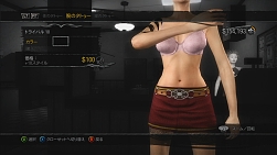 画像ギャラリー No.029のサムネイル画像 / 協力プレイでストーリーを進められるクライムアクション，「セインツ・ロウ 2」の先行体験レポートを掲載