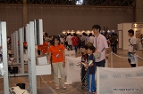 画像ギャラリー No.066のサムネイル画像 / 「モンスターハンターフェスタ’09」東京大会レポートその2:開発陣の“ここだけの話”をはじめファンのための催し物が盛りだくさん