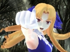 画像ギャラリー No.066のサムネイル画像 / 「フェイト/アンリミテッドコード」，PS2版10キャラの情報公開＆追加キャラ「バゼット」のプレイムービーを4Gamerにアップ