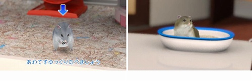 画像ギャラリー No.002のサムネイル画像 / PSP向けダウンロード専用ゲーム「ハムスターチャンネル」が本日配信開始