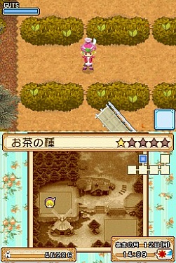 画像ギャラリー No.001のサムネイル画像 / 本日発売の「牧場物語 ようこそ!風のバザールへ」,公式サイトでプレイムービー2本が公開中