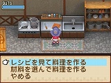 牧場物語 ようこそ!風のバザールへ