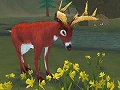 豊かな森を育てて動植物を繁栄させる，Wii/ニンテンドーDS用ソフト「シムアニマル」が2009年2月19日発売