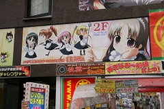 画像ギャラリー No.001のサムネイル画像 / イージーモードは“史上最弱”を誇る将棋ソフト? 原作者も出演したWiiウェア/NDS「ハチワンダイバー」発売記念イベント