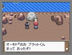 画像ギャラリー No.025のサムネイル画像 / 「ポケモン不思議のダンジョン 空の探検隊」は4月18日発売&「ポケットモンスター プラチナ」でシェイミに出会える“どうぐ”を期間限定配信