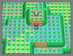 画像ギャラリー No.026のサムネイル画像 / 「ポケモン不思議のダンジョン 空の探検隊」は4月18日発売&「ポケットモンスター プラチナ」でシェイミに出会える“どうぐ”を期間限定配信