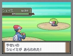 画像ギャラリー No.027のサムネイル画像 / 「ポケモン不思議のダンジョン 空の探検隊」は4月18日発売&「ポケットモンスター プラチナ」でシェイミに出会える“どうぐ”を期間限定配信