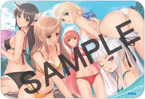 画像ギャラリー No.003のサムネイル画像 / セガモバで「シャイニング・ウィンド」初回限定版を当てよう