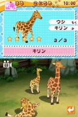 画像ギャラリー No.005のサムネイル画像 / タイトー,NDS「みんなの動物園」を4月30日に発売