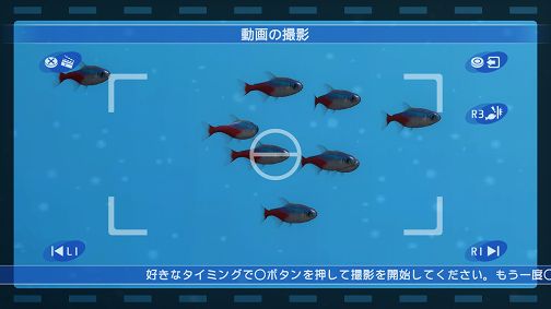 画像ギャラリー No.004のサムネイル画像 / 「ブルーオアシス〜魚の癒し空間〜」，PS3に登場。明日配信