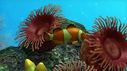 画像ギャラリー No.007のサムネイル画像 / 「ブルーオアシス〜魚の癒し空間〜」，PS3に登場。明日配信