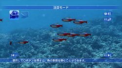 画像ギャラリー No.008のサムネイル画像 / 「ブルーオアシス〜魚の癒し空間〜」，PS3に登場。明日配信