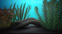 画像ギャラリー No.011のサムネイル画像 / 「ブルーオアシス〜魚の癒し空間〜」，PS3に登場。明日配信