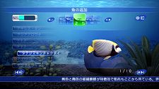 画像ギャラリー No.008のサムネイル画像 / PlayStation Store最新情報。“癒し”成分満点の「ブルーオアシス〜魚の癒し空間〜」など新作タイトルが目白押し。さらにあの注目作のカスタムテーマも
