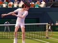 Wiiモーションプラス対応のテニスゲーム，「EA SPORTS グランドスラム テニス」が明日7月2日に発売