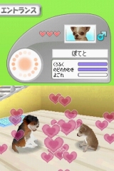 カジュアルシリーズ2980 Petz Dogz ドッグズ