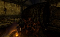 画像ギャラリー No.003のサムネイル画像 / Frictional Gamesの最新作「Amnesia: The Dark Descent」のデモ版をUp。記憶を失った主人公となり，不気味な城から逃げ出そう