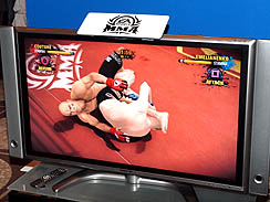 画像ギャラリー No.013のサムネイル画像 / 日本人選手大活躍。エレクトロニック・アーツ初の格闘技モノとなる,「EA SPORTS 総合格闘技」のインプレッションとムービーを掲載