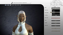 画像ギャラリー No.010のサムネイル画像 / ［E3 2010］1か月以内にはβテストが開始！「FINAL FANTASY XIV」田中弘道氏，黒澤尉志氏インタビュー