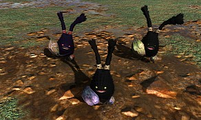 画像ギャラリー No.052のサムネイル画像 / 「FINAL FANTASY XIV」βテスト先行プレイレポート：どこがどう変わるのかを，βテストに先がけて新画像と共に紹介