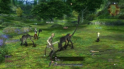 画像ギャラリー No.010のサムネイル画像 / 森の都“グリダニア”と砂の都“ウルダハ”が追加，9月上旬開始予定の「FINAL FANTASY XIV」オープンβテスト先行プレイレポートを掲載