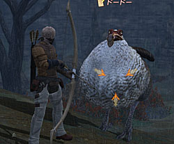 画像ギャラリー No.003のサムネイル画像 / 「FINAL FANTASY XIV」はどうなるのか？ 開発チームの刷新から半年が経った今，これからの展開をプロデューサーとバトルプランナーに聞いてみた